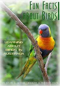 Book Fun facts about birds