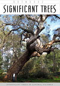 Significant Local Trees of Central Victoria
